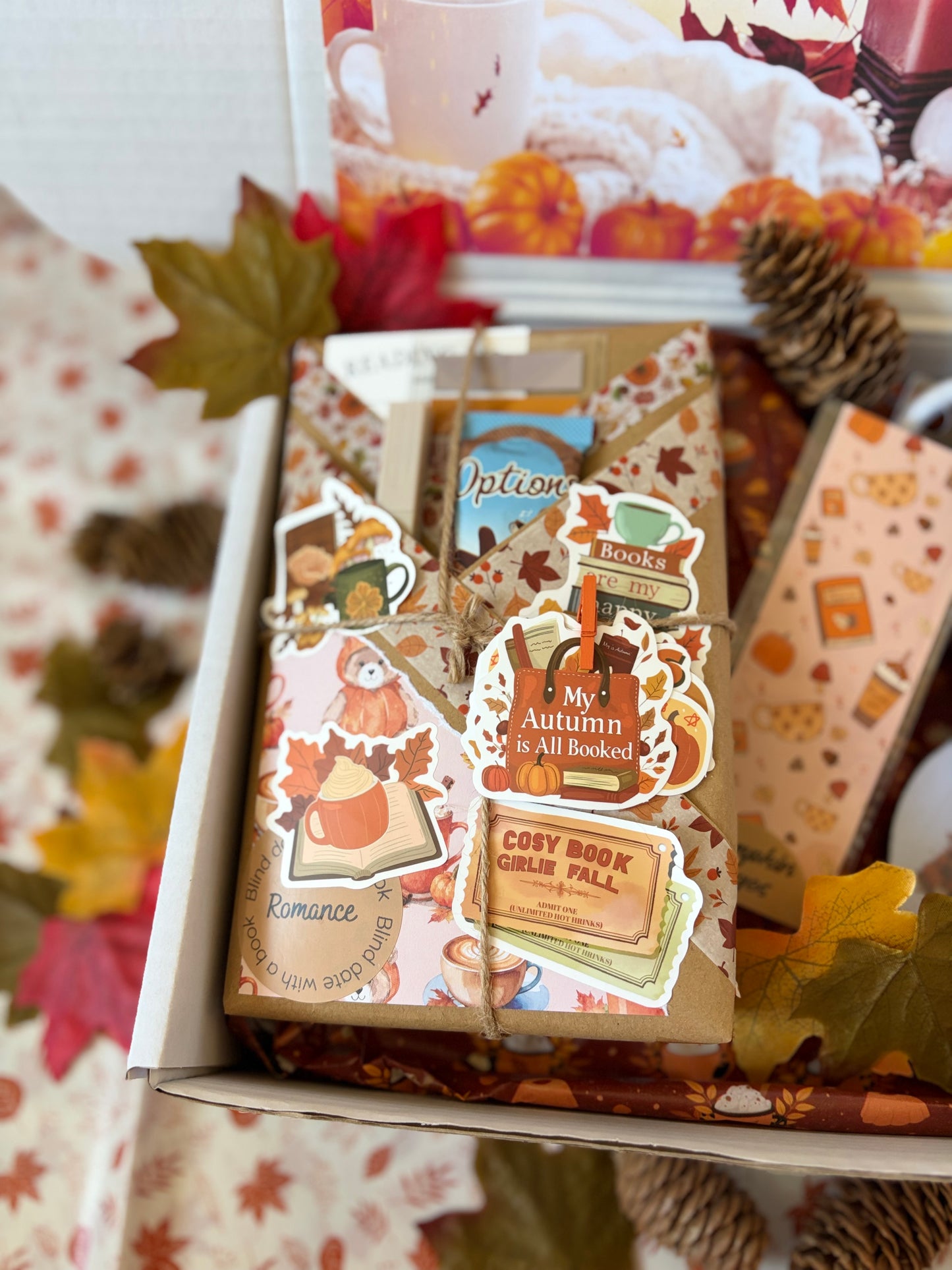 Autumn Blind Date With A Book Box - New Condition